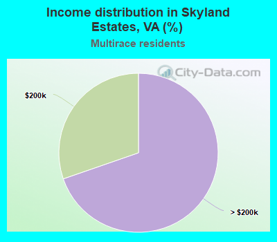 Income distribution in Skyland Estates, VA (%)