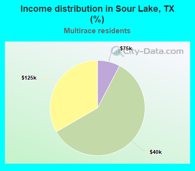 Income distribution in Sour Lake, TX (%)