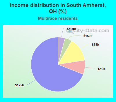 Income distribution in South Amherst, OH (%)
