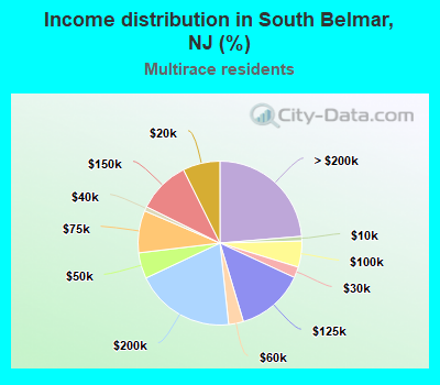 Income distribution in South Belmar, NJ (%)