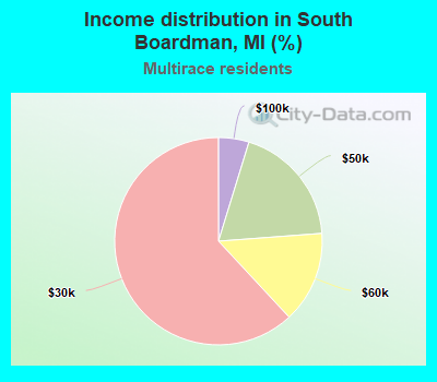 Income distribution in South Boardman, MI (%)