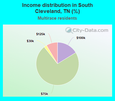 Income distribution in South Cleveland, TN (%)