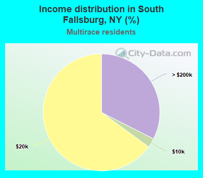 Income distribution in South Fallsburg, NY (%)