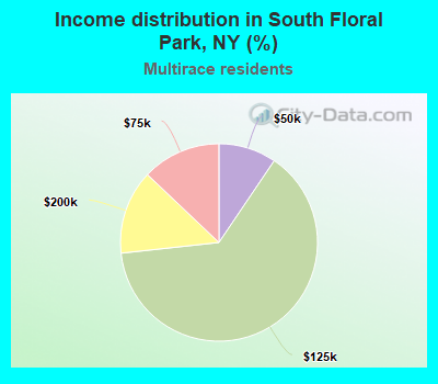 Income distribution in South Floral Park, NY (%)