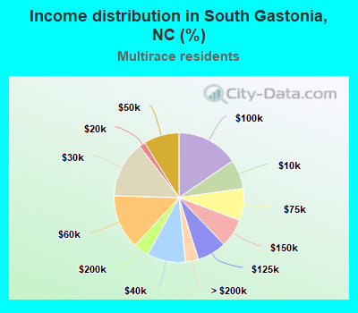 Income distribution in South Gastonia, NC (%)