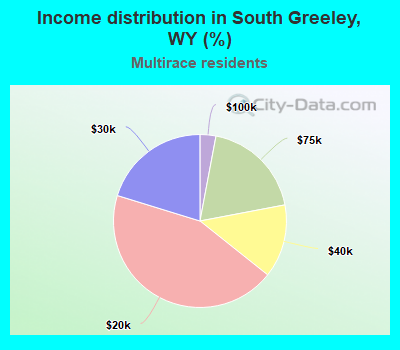 Income distribution in South Greeley, WY (%)