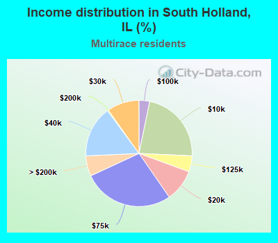 Income distribution in South Holland, IL (%)