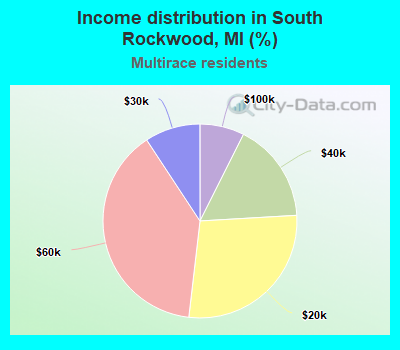 Income distribution in South Rockwood, MI (%)