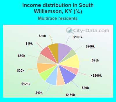 Income distribution in South Williamson, KY (%)