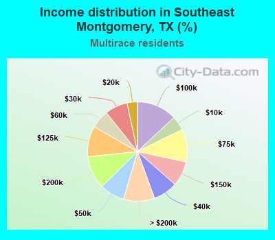 Income distribution in Southeast Montgomery, TX (%)