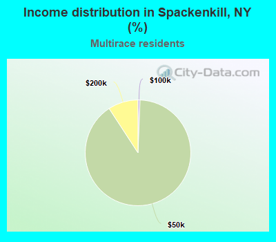 Income distribution in Spackenkill, NY (%)