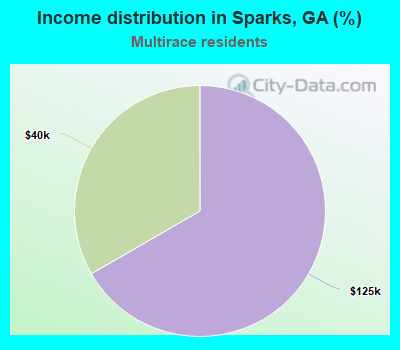 Income distribution in Sparks, GA (%)