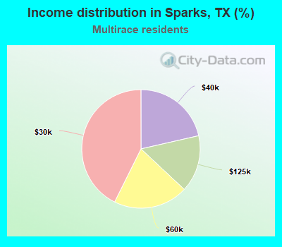 Income distribution in Sparks, TX (%)