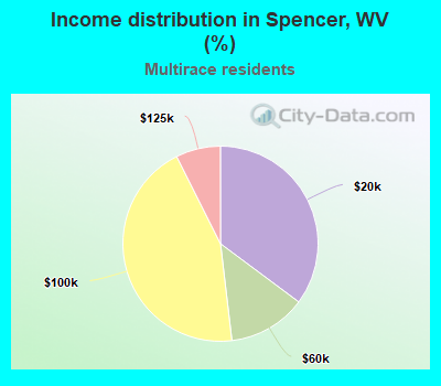 Income distribution in Spencer, WV (%)