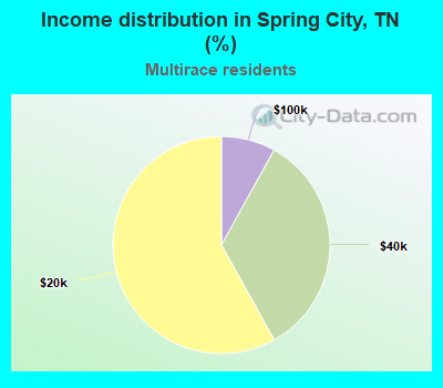 Income distribution in Spring City, TN (%)