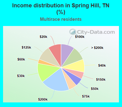 Income distribution in Spring Hill, TN (%)