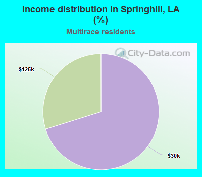 Income distribution in Springhill, LA (%)