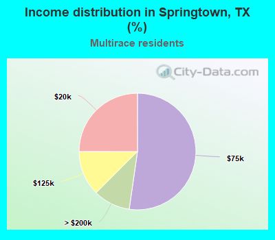 Income distribution in Springtown, TX (%)