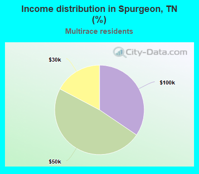 Income distribution in Spurgeon, TN (%)