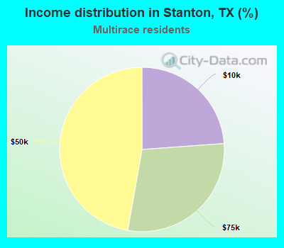 Income distribution in Stanton, TX (%)