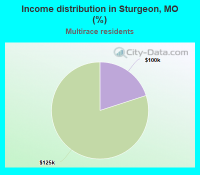 Income distribution in Sturgeon, MO (%)