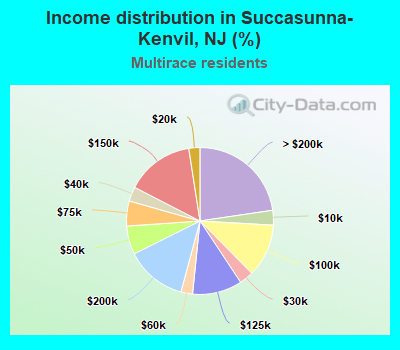 Income distribution in Succasunna-Kenvil, NJ (%)