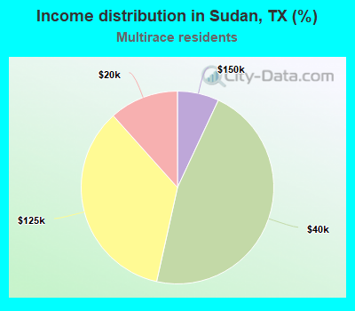 Income distribution in Sudan, TX (%)
