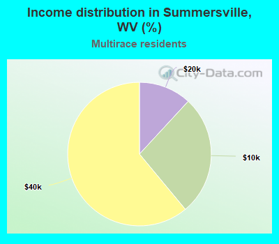 Income distribution in Summersville, WV (%)