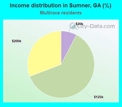 Income distribution in Sumner, GA (%)