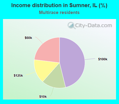 Income distribution in Sumner, IL (%)