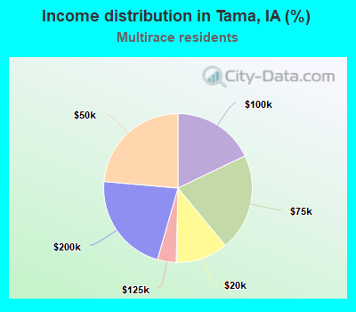 Income distribution in Tama, IA (%)