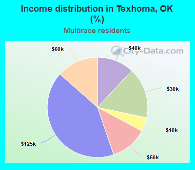 Income distribution in Texhoma, OK (%)