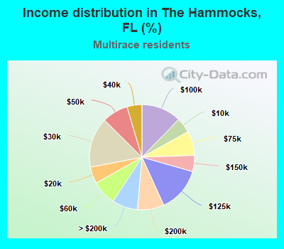Income distribution in The Hammocks, FL (%)