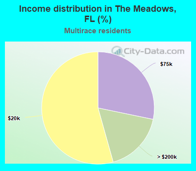 Income distribution in The Meadows, FL (%)