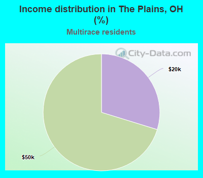 Income distribution in The Plains, OH (%)