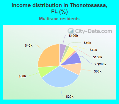 Income distribution in Thonotosassa, FL (%)