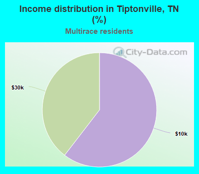 Income distribution in Tiptonville, TN (%)