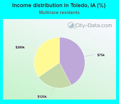 Income distribution in Toledo, IA (%)