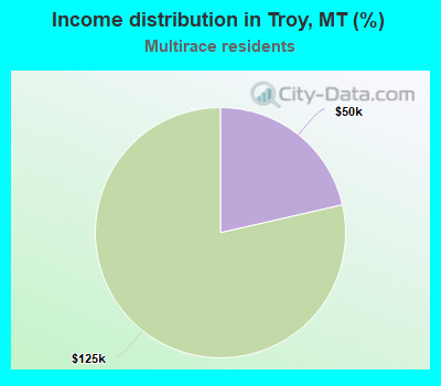 Income distribution in Troy, MT (%)