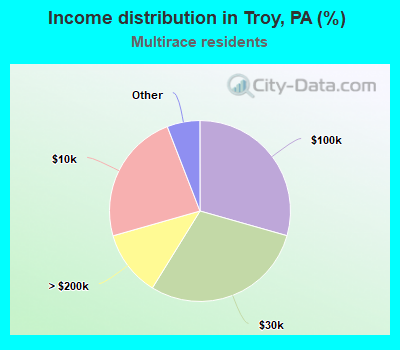 Income distribution in Troy, PA (%)