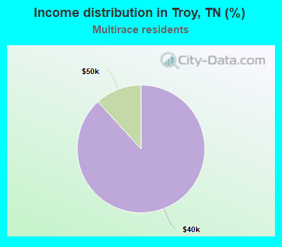 Income distribution in Troy, TN (%)