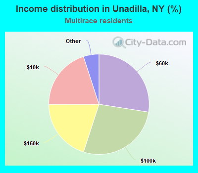 Income distribution in Unadilla, NY (%)