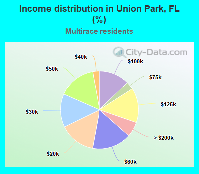 Income distribution in Union Park, FL (%)
