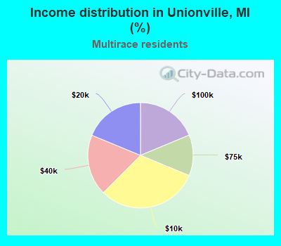 Income distribution in Unionville, MI (%)