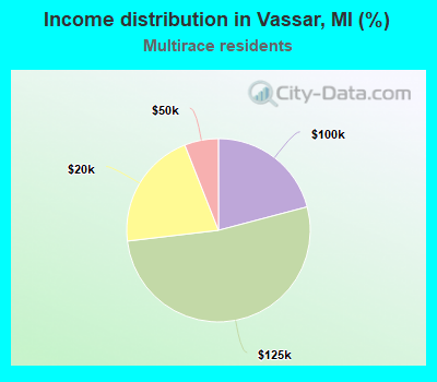 Income distribution in Vassar, MI (%)
