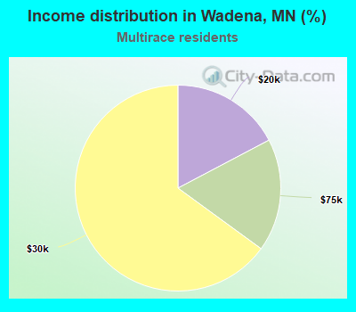 Income distribution in Wadena, MN (%)