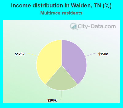 Income distribution in Walden, TN (%)