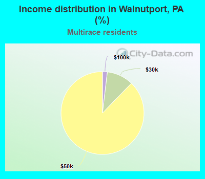 Income distribution in Walnutport, PA (%)