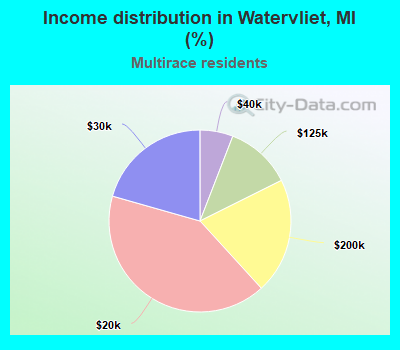 Income distribution in Watervliet, MI (%)