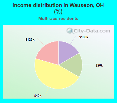 Income distribution in Wauseon, OH (%)